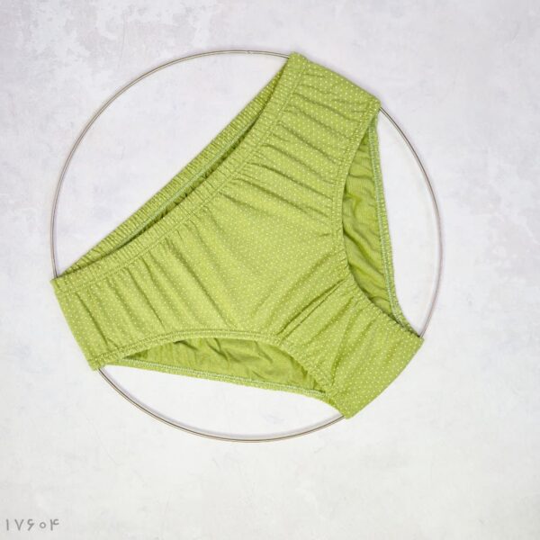 شورت زنانه جعبه ای برند بهمن ( 12 عددی ) - Image 2